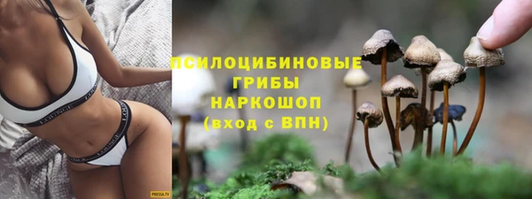PSILOCYBIN Лиски