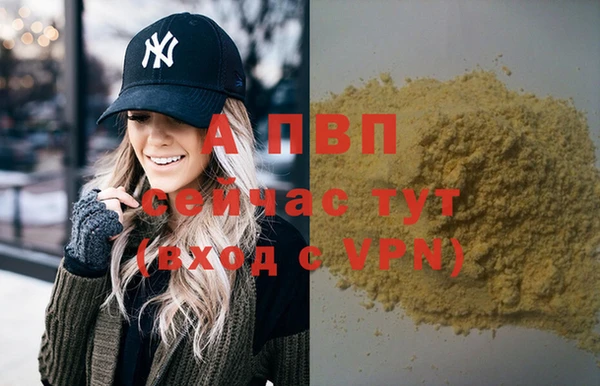 прущие грибы Майский
