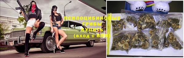 PSILOCYBIN Лиски