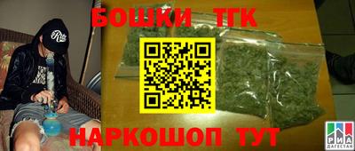 гидра Дубна