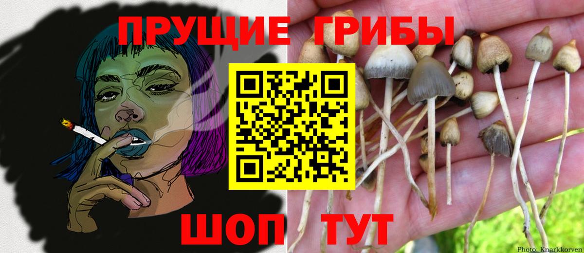 Галлюциногенные грибы мухоморы  Псилоцибиновые грибы прущие грибы  Вход с VPN  Иваново 