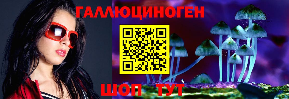 Псилоцибиновые грибы Cubensis Иваново